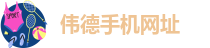 韦德买球软件